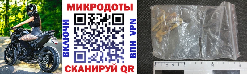 Купить где  Сочи  Галлюциногенные грибы Cubensis 